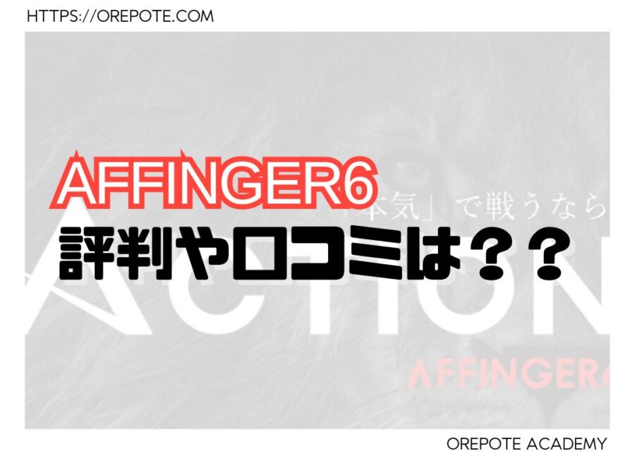 AFFINGER6 評判